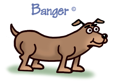 Bangerlogo